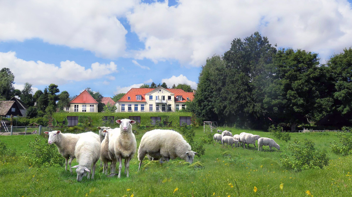 Bofællesskabet Krake