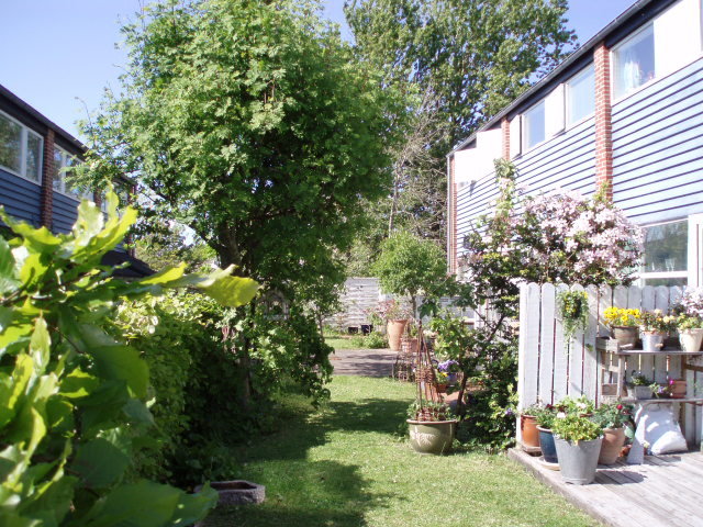 Uldalen