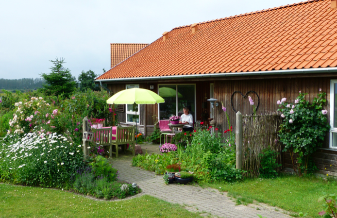 Ved Rørvig Mølle
